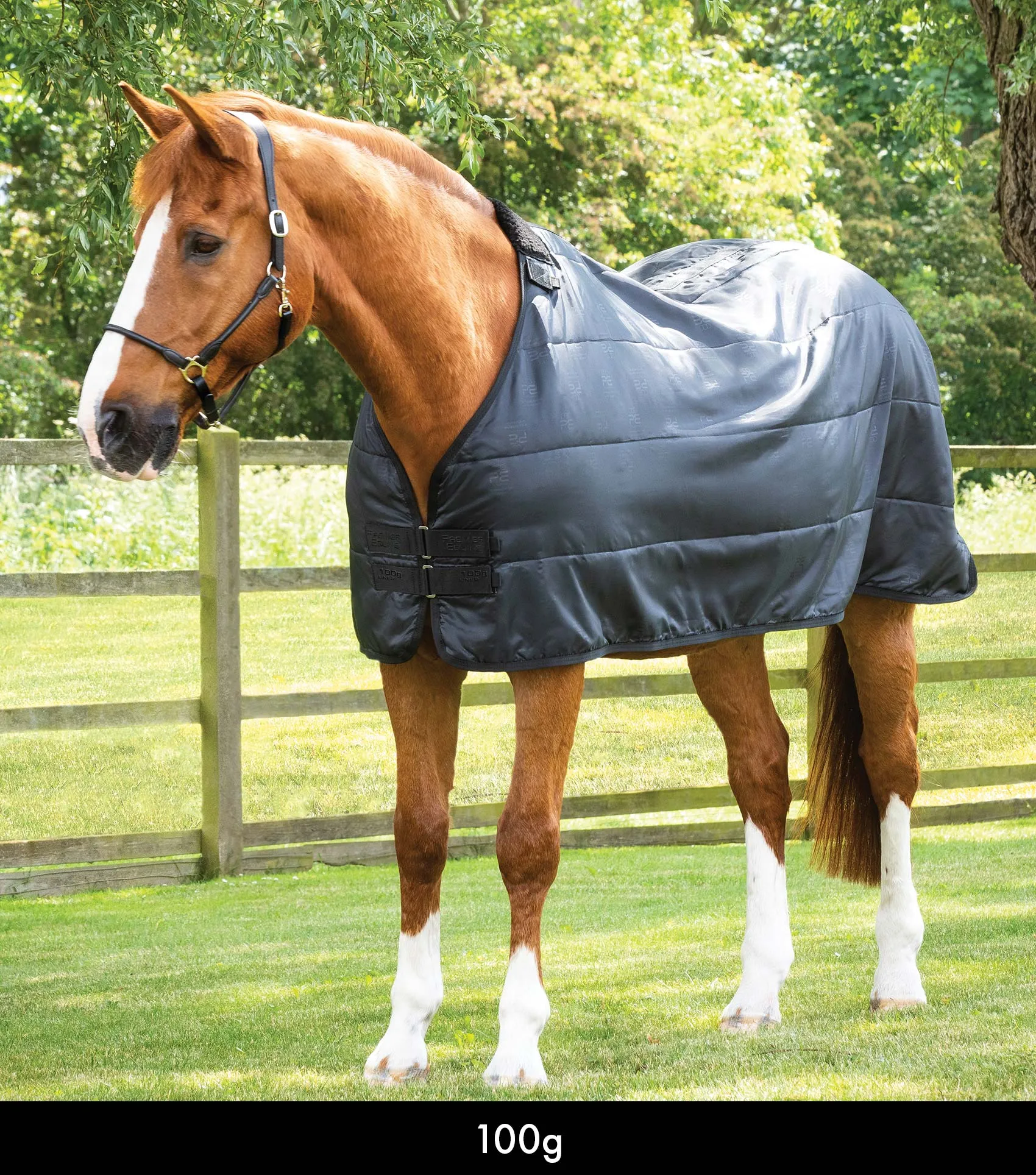 100g Horse Rug Liner