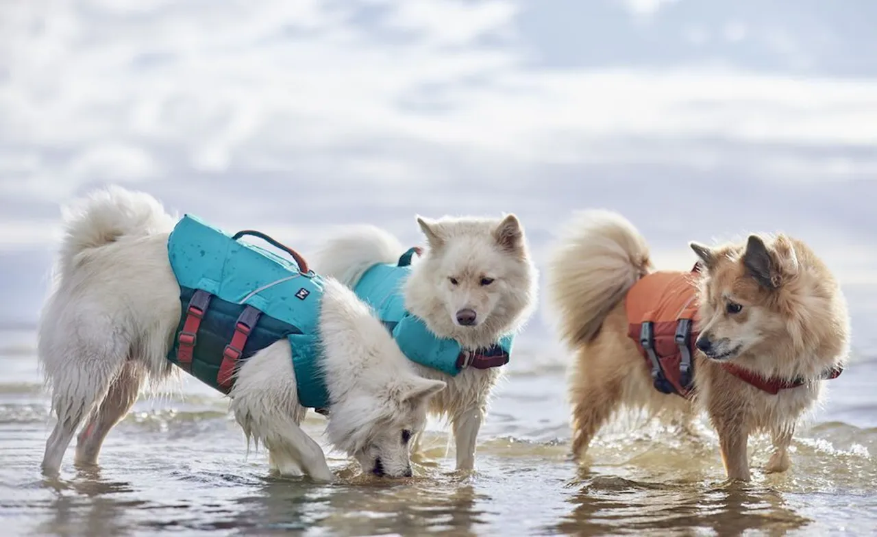 Hurtta Dog Swim Coat: Life Saviour Eco, Peacock