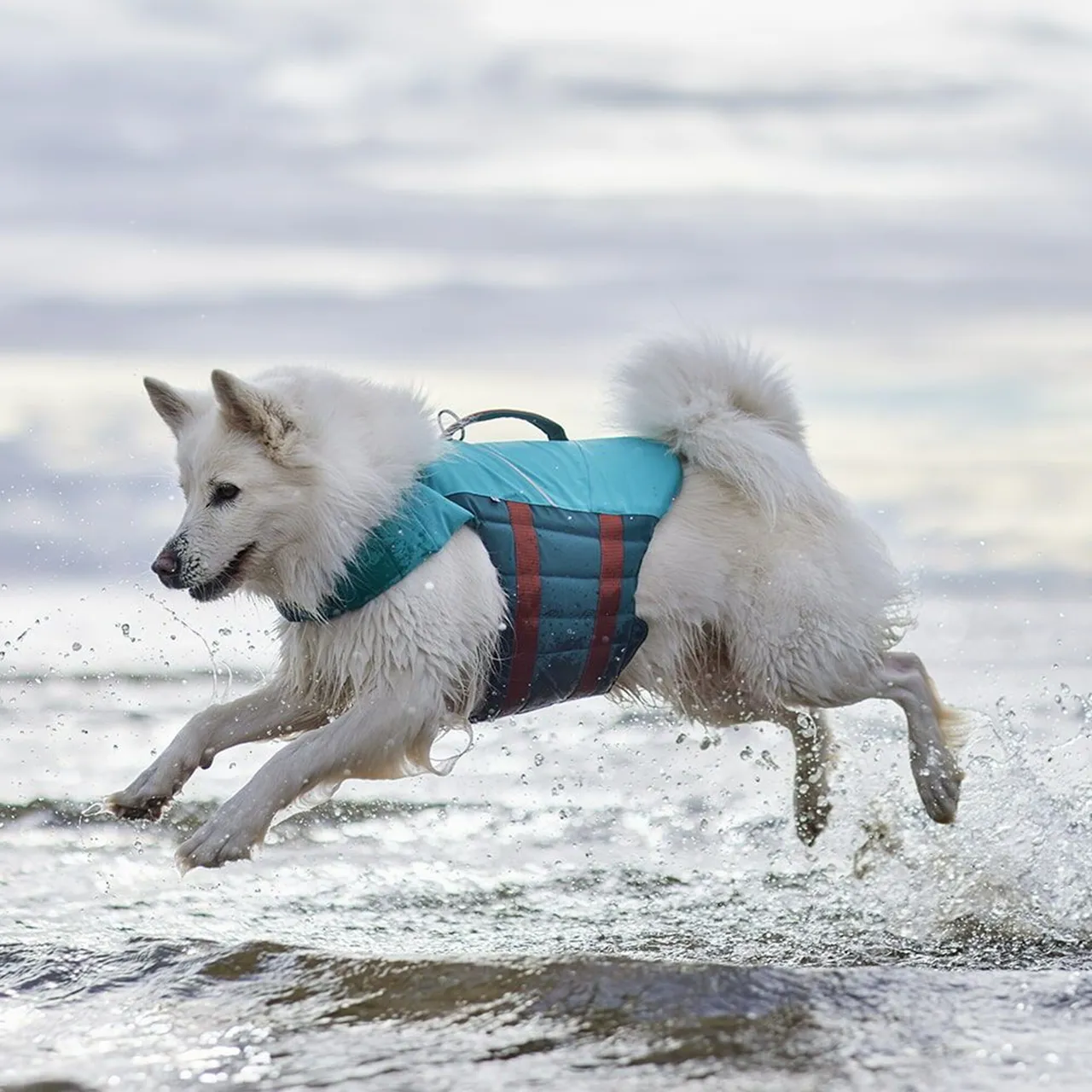 Hurtta Dog Swim Coat: Life Saviour Eco, Peacock