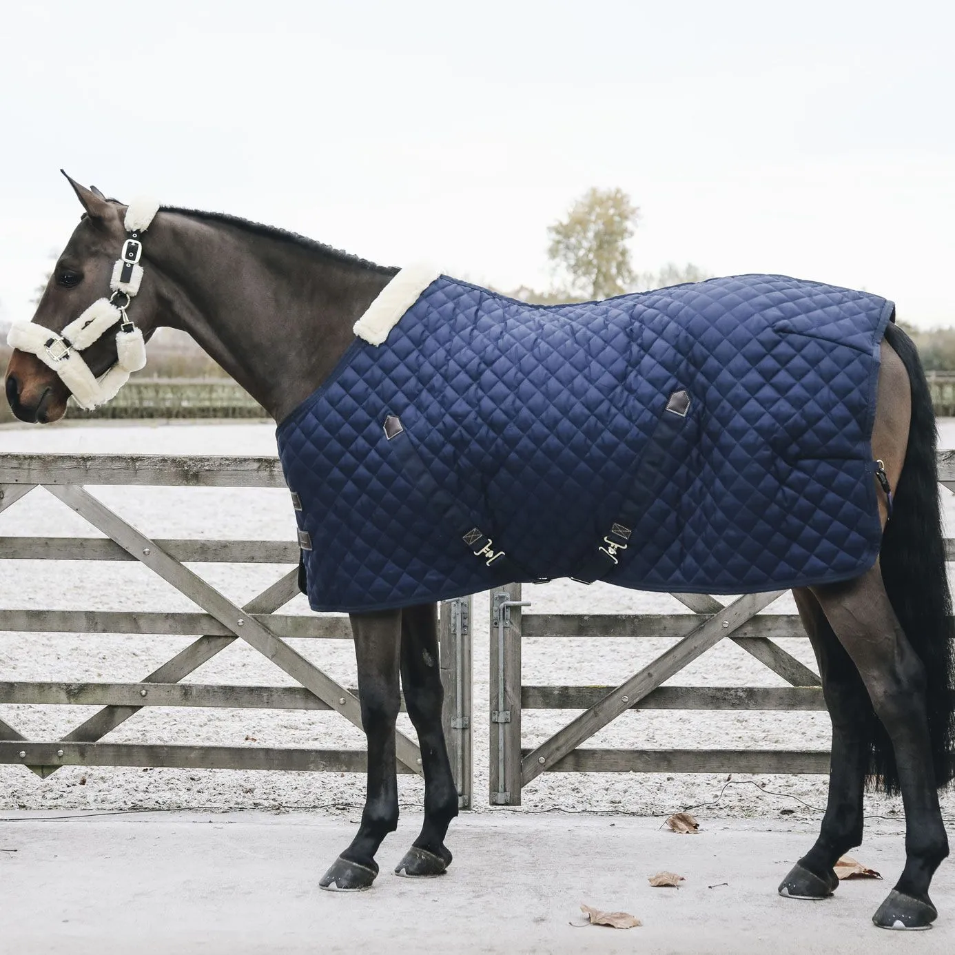 Kentucky Horsewear Stable Rug 200g - Navy