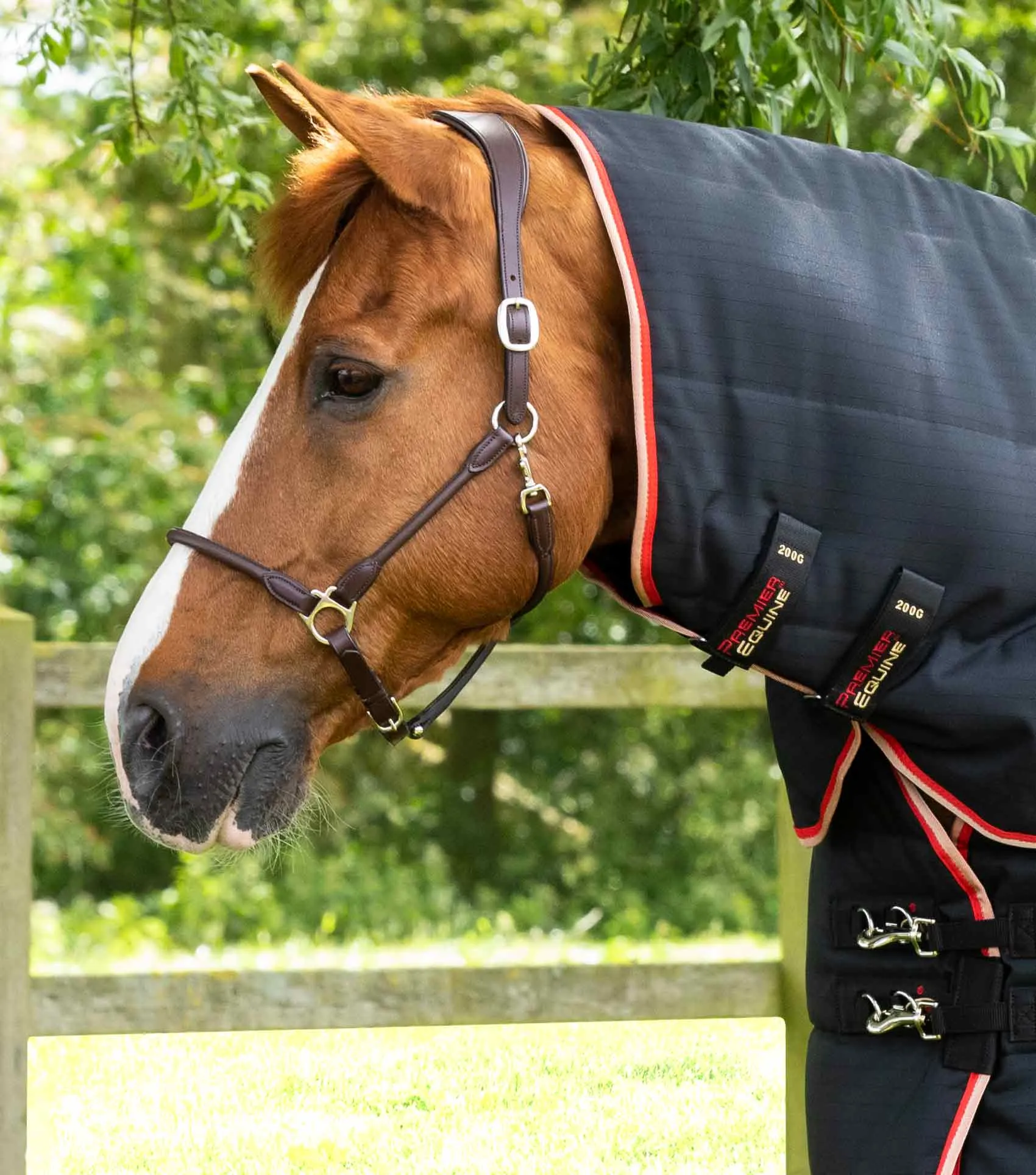 Stable Buster 450g Stable Rug with Neck Cover Black